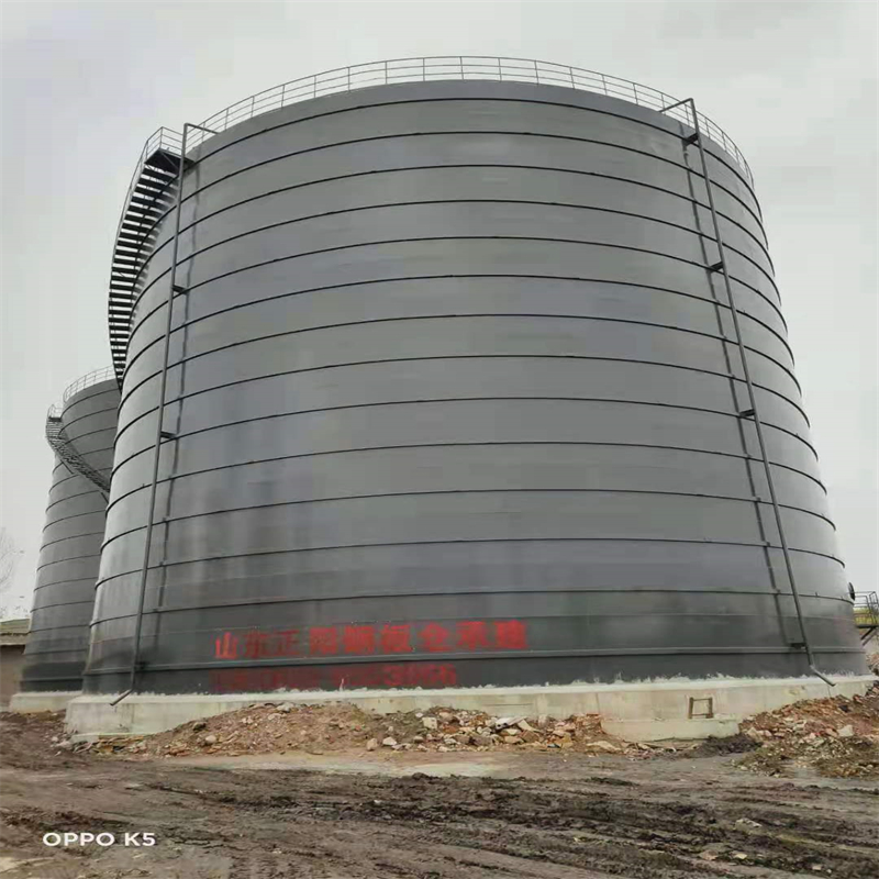 大城3万吨大型钢板库