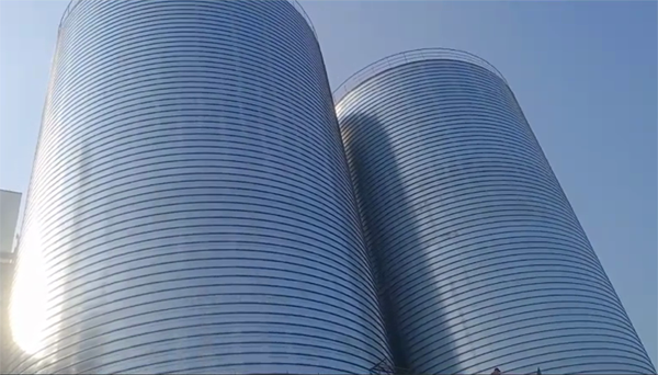 大城2座混凝土高架卷板仓